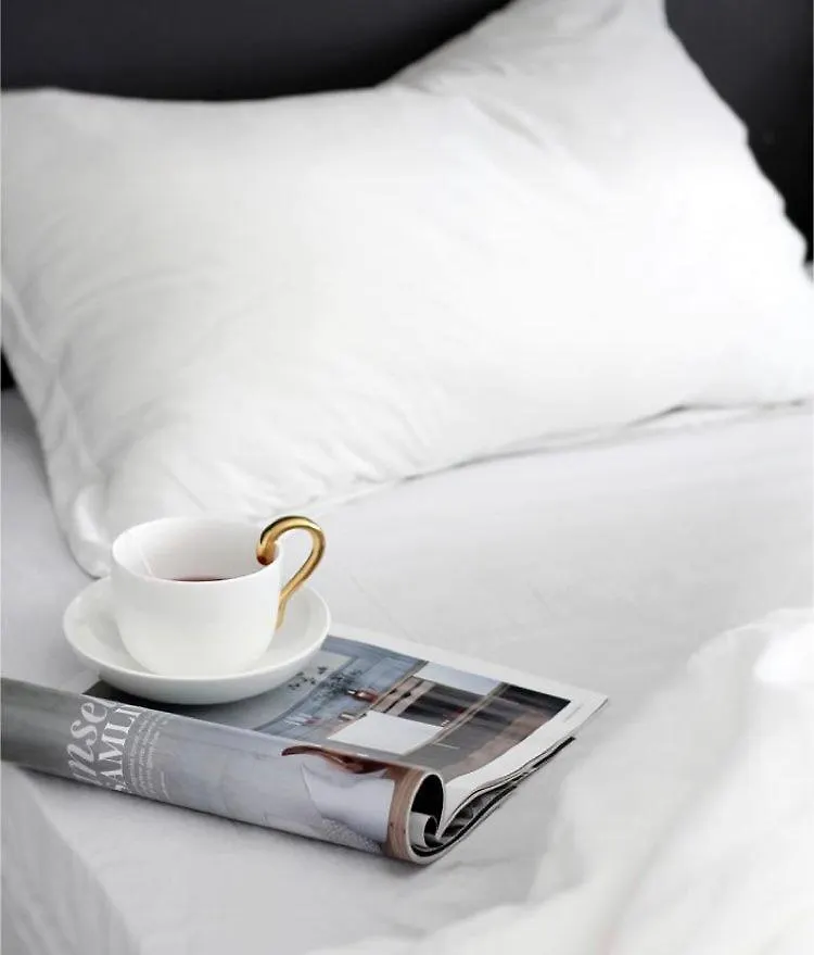 **** ホテル The Queen Airport Hotel-Round Trip Airport Service Arnavutkoy トルコ